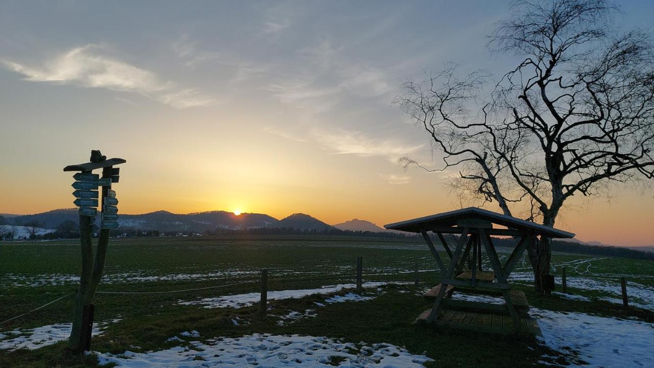 Apartment Am Hochwald Reinhardtsdorf-Schona Exteriör bild
