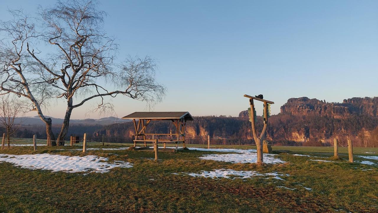 Apartment Am Hochwald Reinhardtsdorf-Schona Exteriör bild