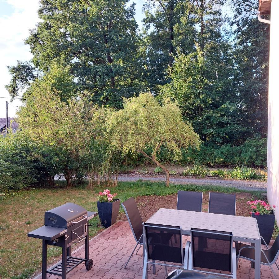 Apartment Am Hochwald Reinhardtsdorf-Schona Exteriör bild