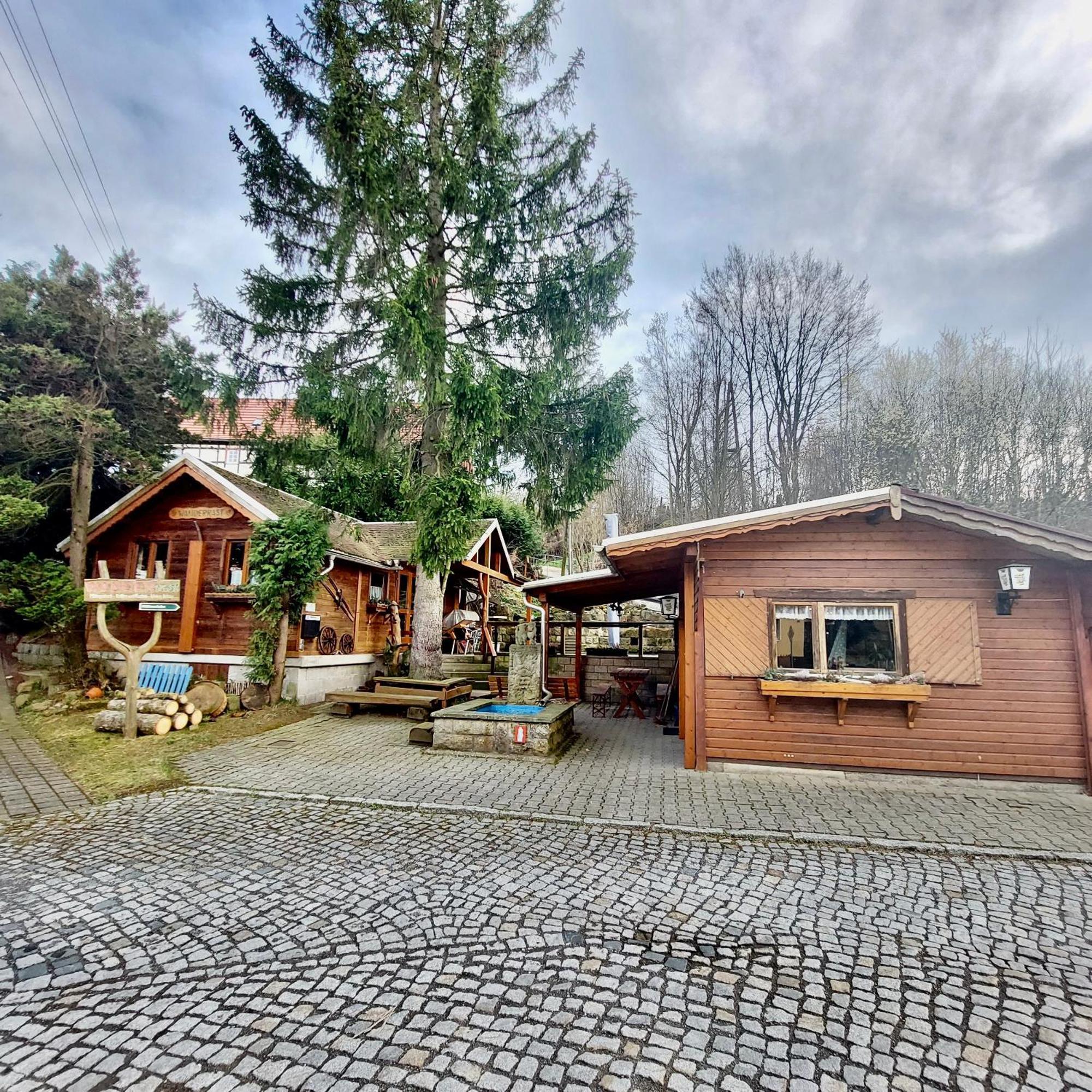 Apartment Am Hochwald Reinhardtsdorf-Schona Exteriör bild